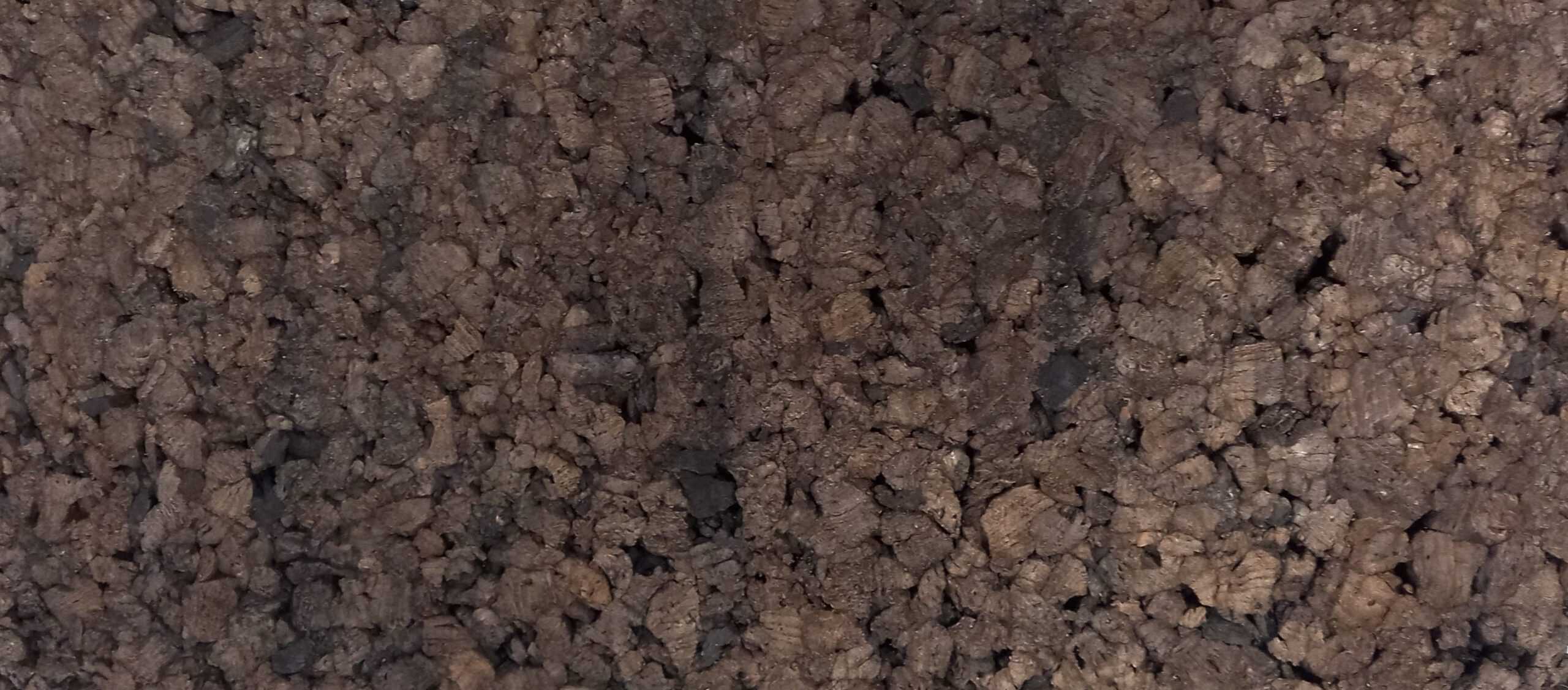 Plaque de liège expansé : un isolant naturel de qualité